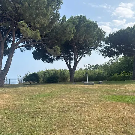 Appartement Logement 79 Moriani plage